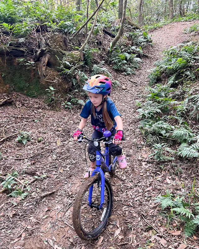 越野登山車體驗